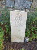 image of grave number 572434
